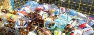 ЭКОЛОГИЧЕСКАЯ СОЗНАТЕЛЬНОСТЬ МУРМАНЧАН ВДОХНОВЛЯЕТ